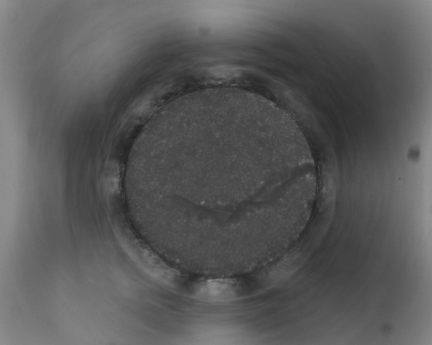 X0000111520758200908251137