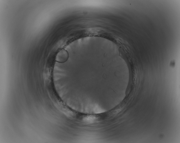 X0000111520759200908251137