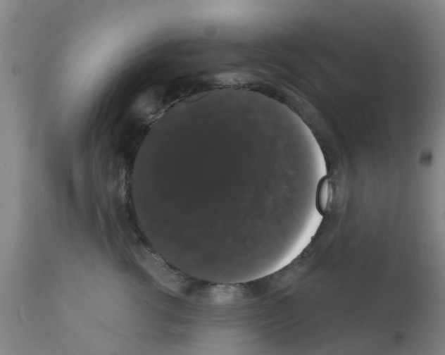 X0000111520762200908251137