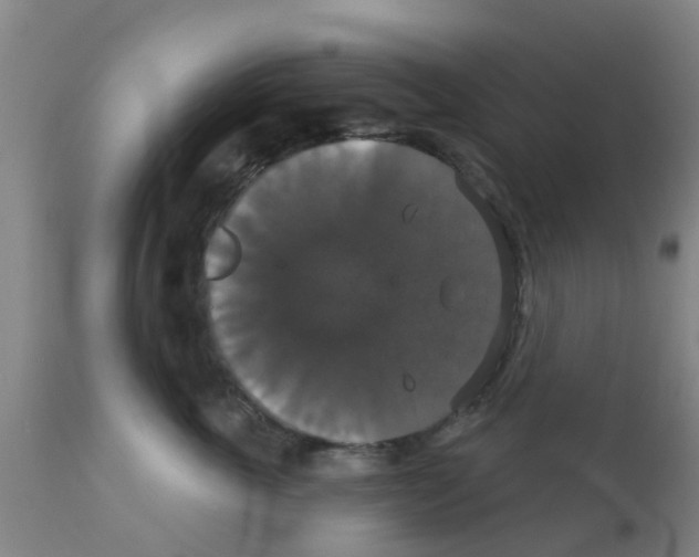 X0000111520763200908251137