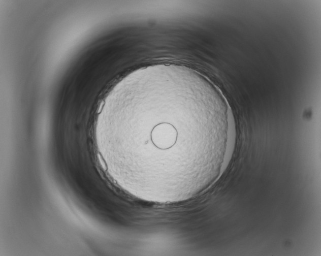 X0000111520764200908251137