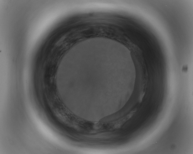 X0000111520766200908251137