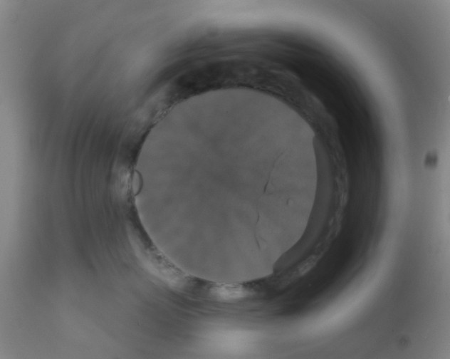 X0000111520767200908251137