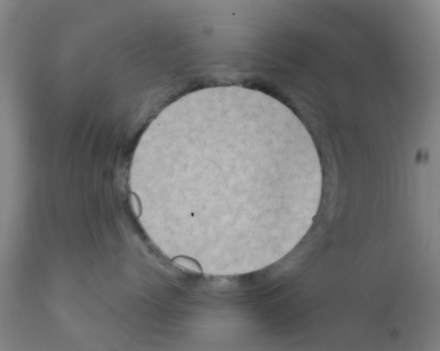 X0000111520768200908251137