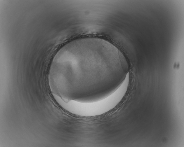 X0000111520769200908251136