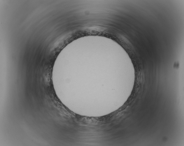 X0000111520774200908251136