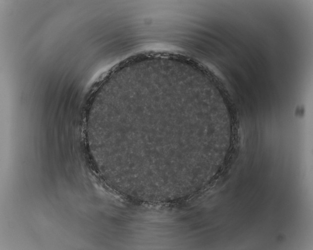 X0000111520775200908251136