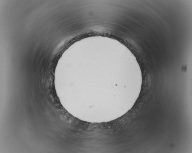 X0000111520776200908251136