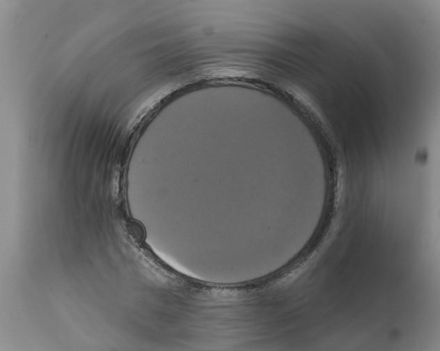 X0000111520777200908251136