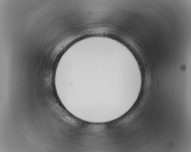 X0000111520778200908251136