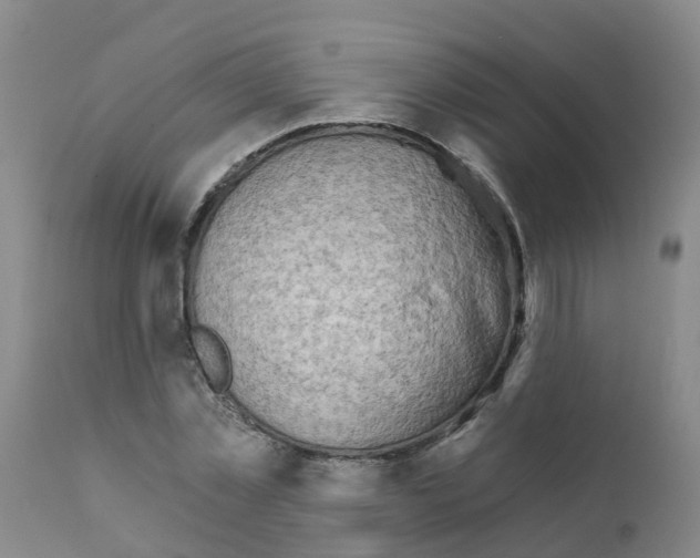 X0000111520781200908251136