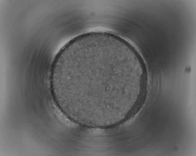 X0000111520783200908251136