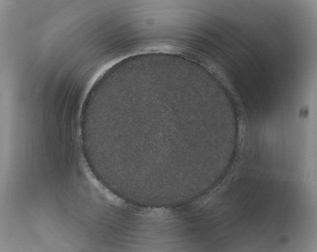 X0000111520784200908251136
