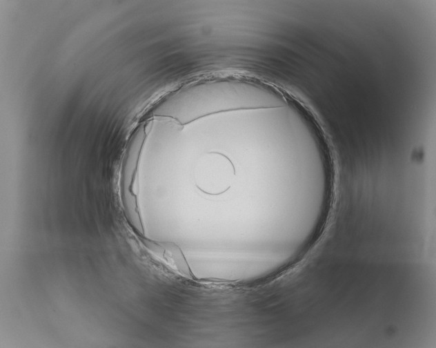X0000111520785200908251136