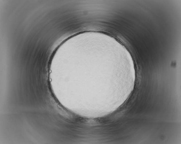 X0000111520787200908251136