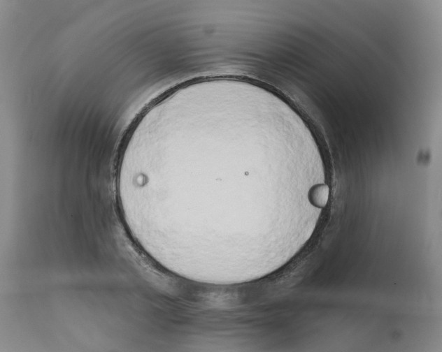 X0000111520789200908251136
