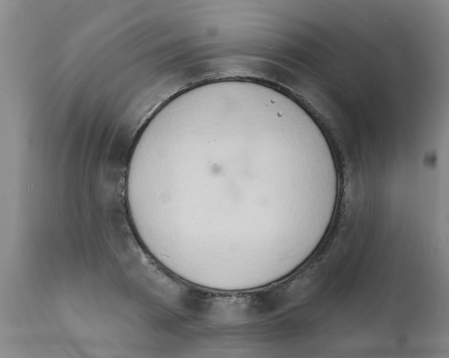 X0000111520793200908251136