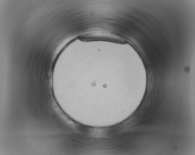 X0000111520796200908251136