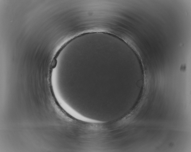 X0000111520797200908251136