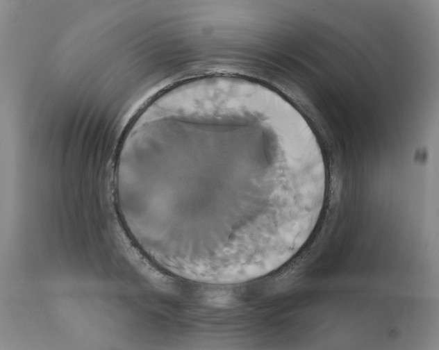 X0000111520798200908251136
