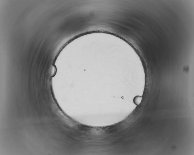 X0000111520799200908251136