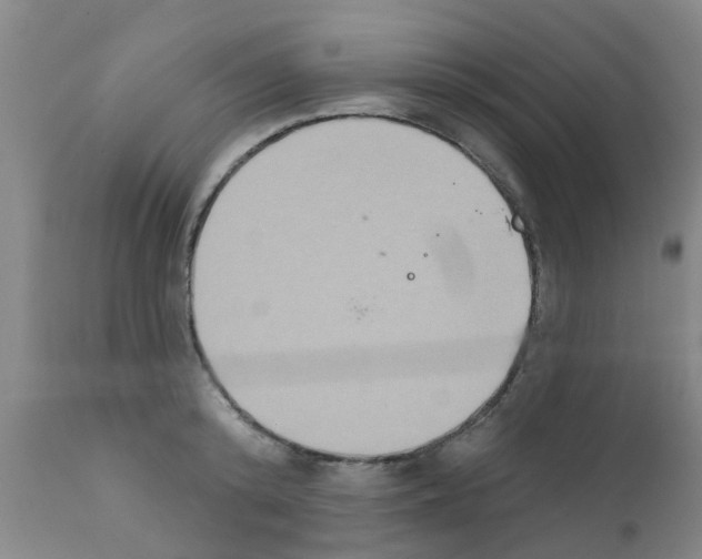 X0000111520800200908251136