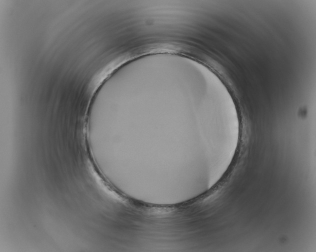X0000111520802200908251136