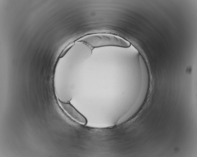 X0000111520805200908251135
