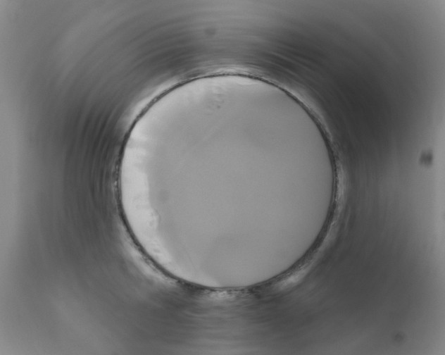 X0000111520806200908251135