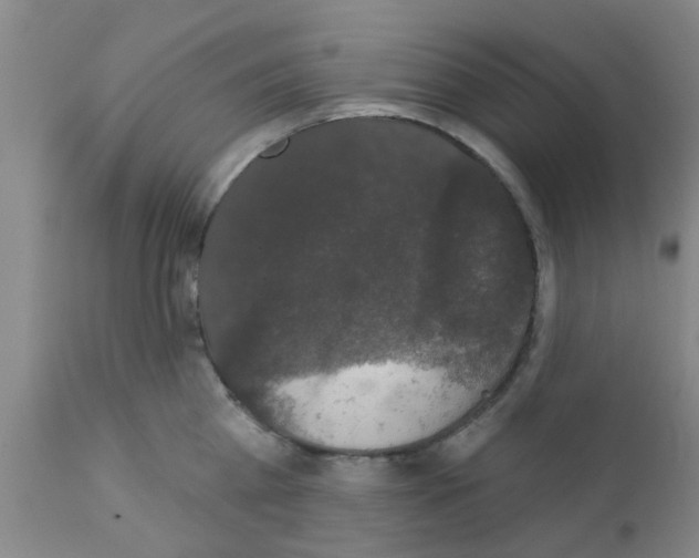 X0000111520809200908251135