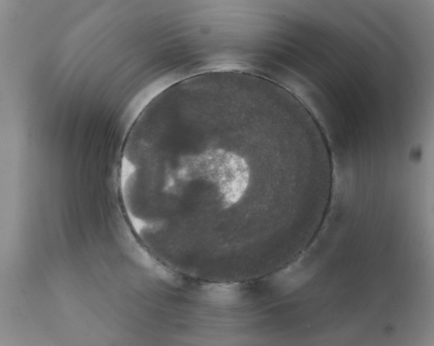 X0000111520810200908251135