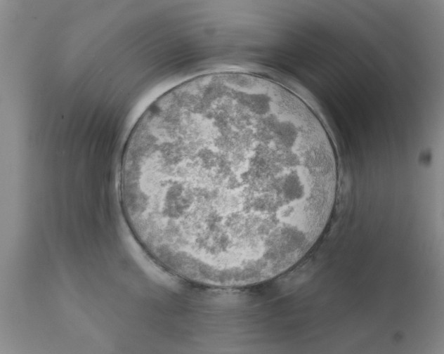X0000111520811200908251135