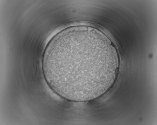 X0000111520813200908251135
