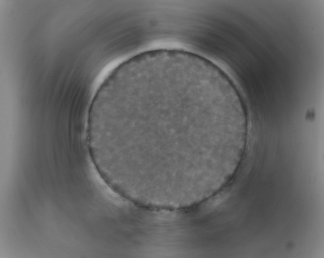 X0000111520815200908251135