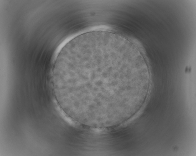 X0000111520816200908251135