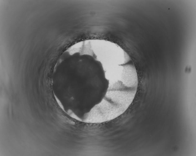X0000111520817200908251135