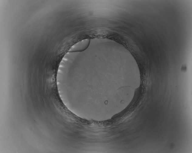 X0000111520818200908251135