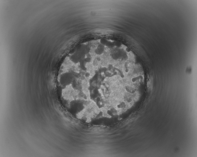 X0000111520819200908251135