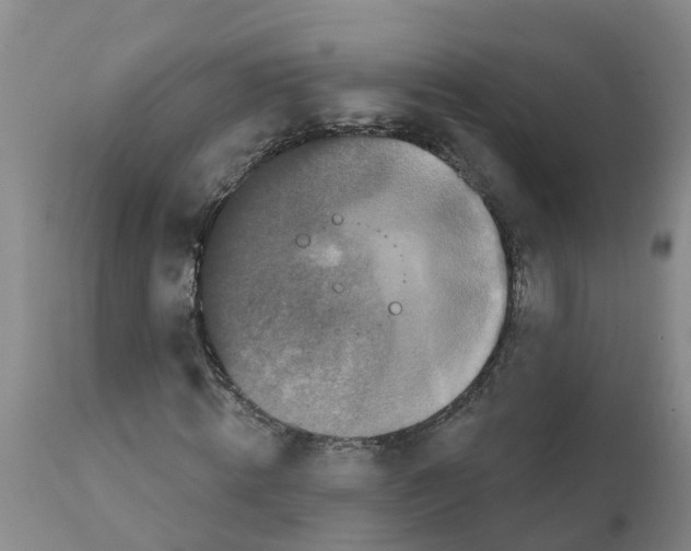 X0000111520820200908251135
