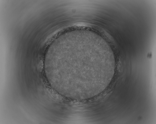 X0000111520821200908251135