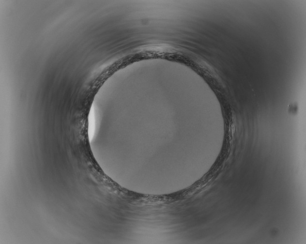 X0000111520822200908251135