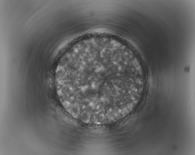 X0000111520823200908251135