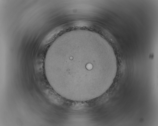 X0000111520824200908251135
