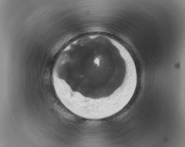 X0000111520825200908251135