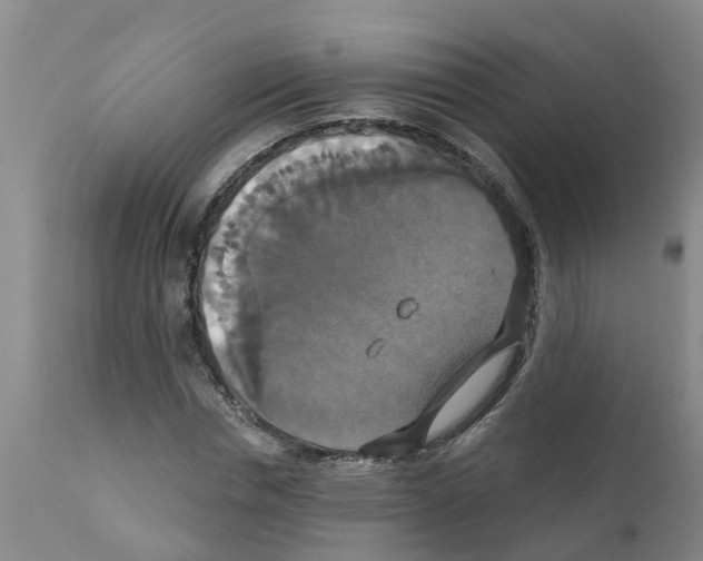 X0000111520826200908251135