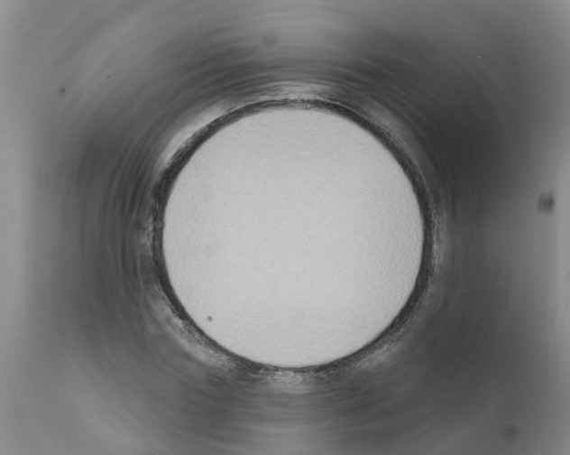 X0000111520827200908251135