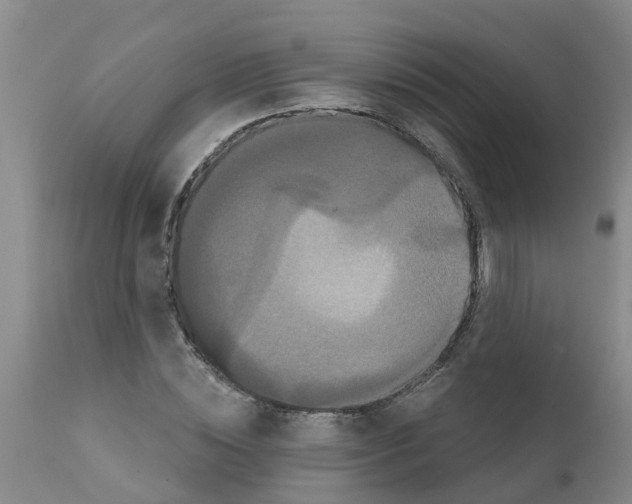 X0000111520828200908251135