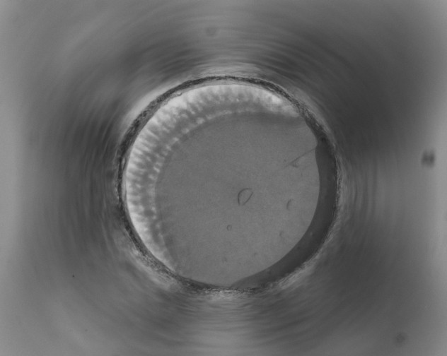 X0000111520830200908251135
