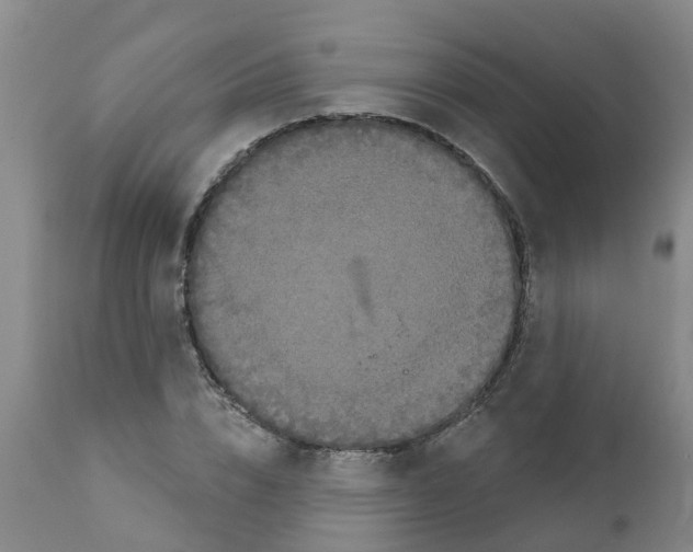 X0000111520832200908251135