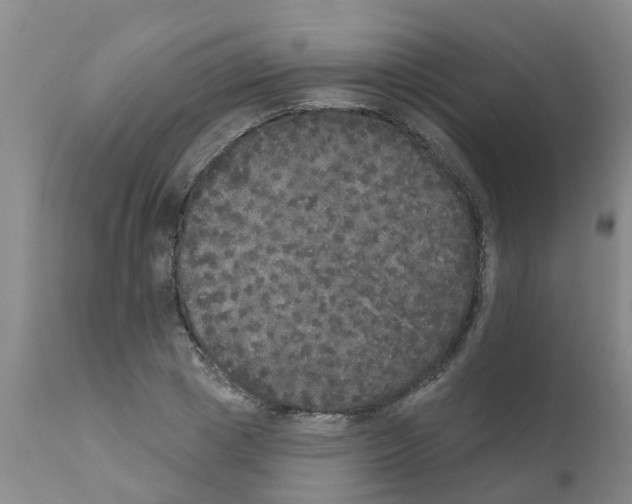 X0000111520833200908251135